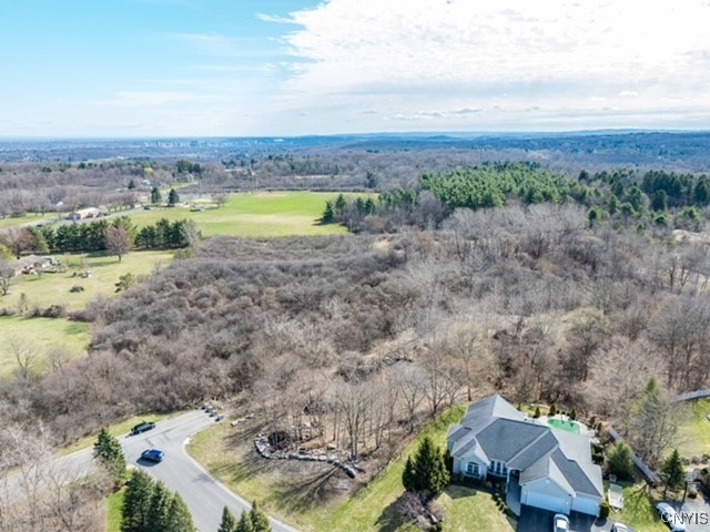 0 Howlett Camillus, NY 13031 - Photo 14 of 38