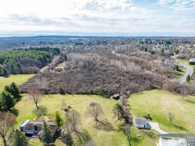 0 Howlett Camillus, NY 13031 - Photo 20 of 38