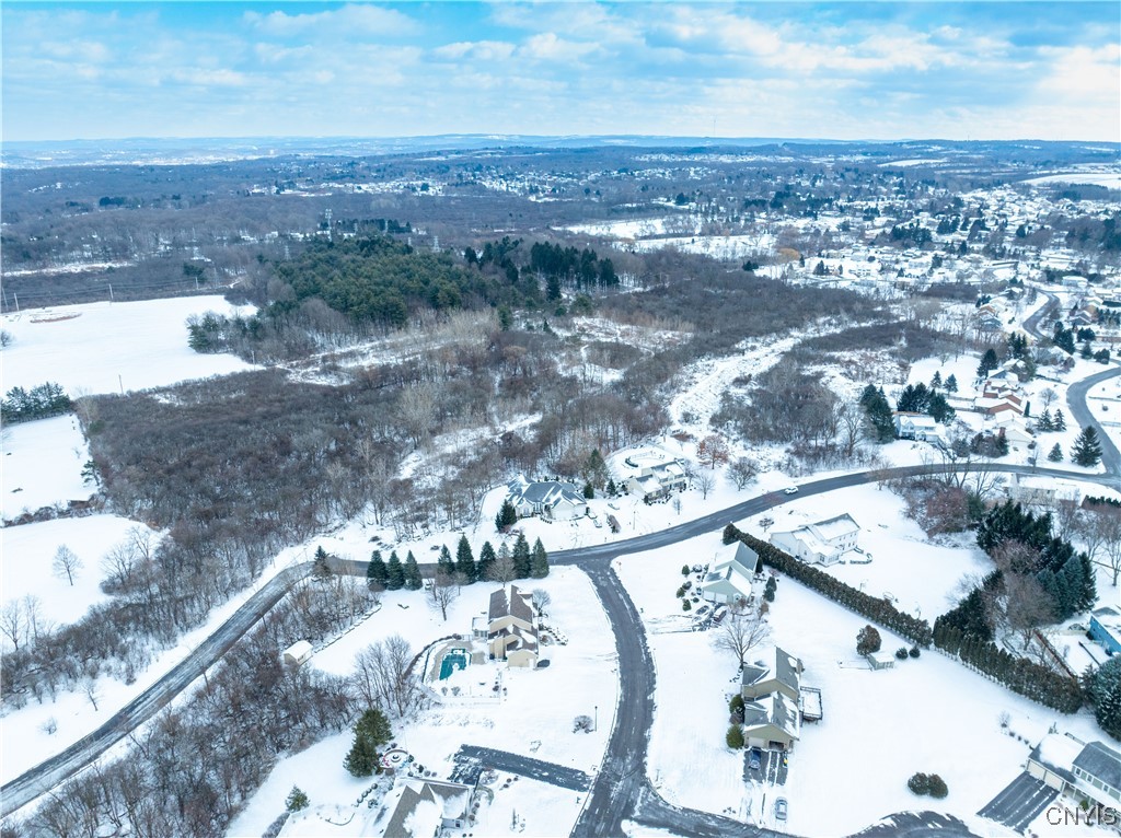 0 Howlett Camillus, NY 13031 - Photo 31 of 38