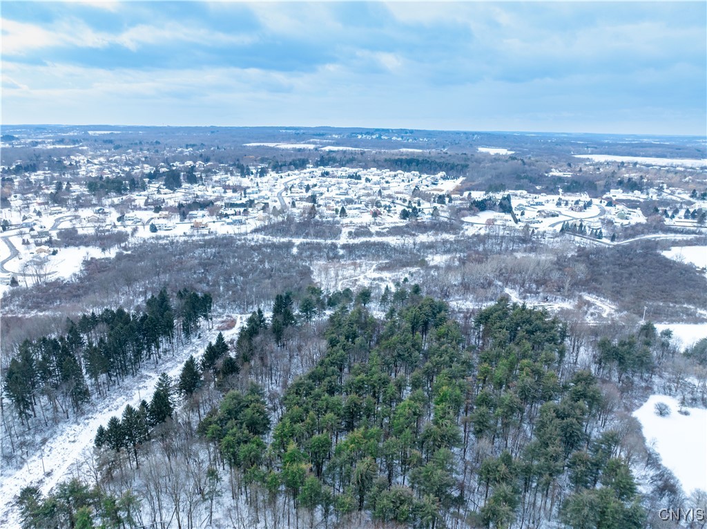 0 Howlett Camillus, NY 13031 - Photo 35 of 38