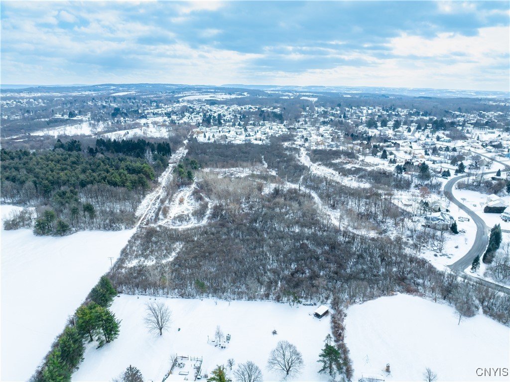 0 Howlett Camillus, NY 13031 - Photo 37 of 38