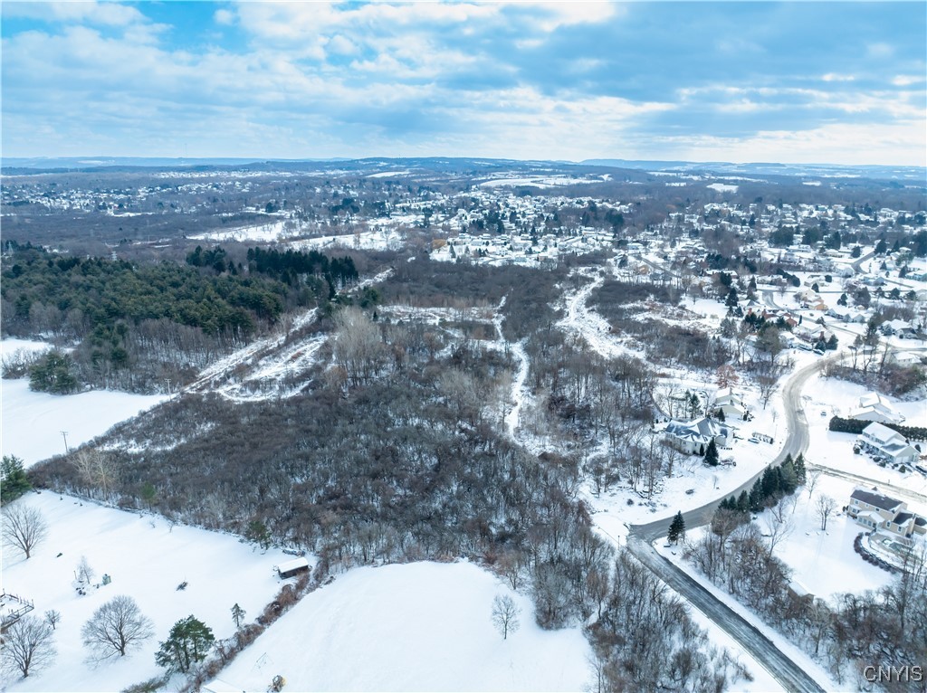 0 Howlett Camillus, NY 13031 - Photo 38 of 38