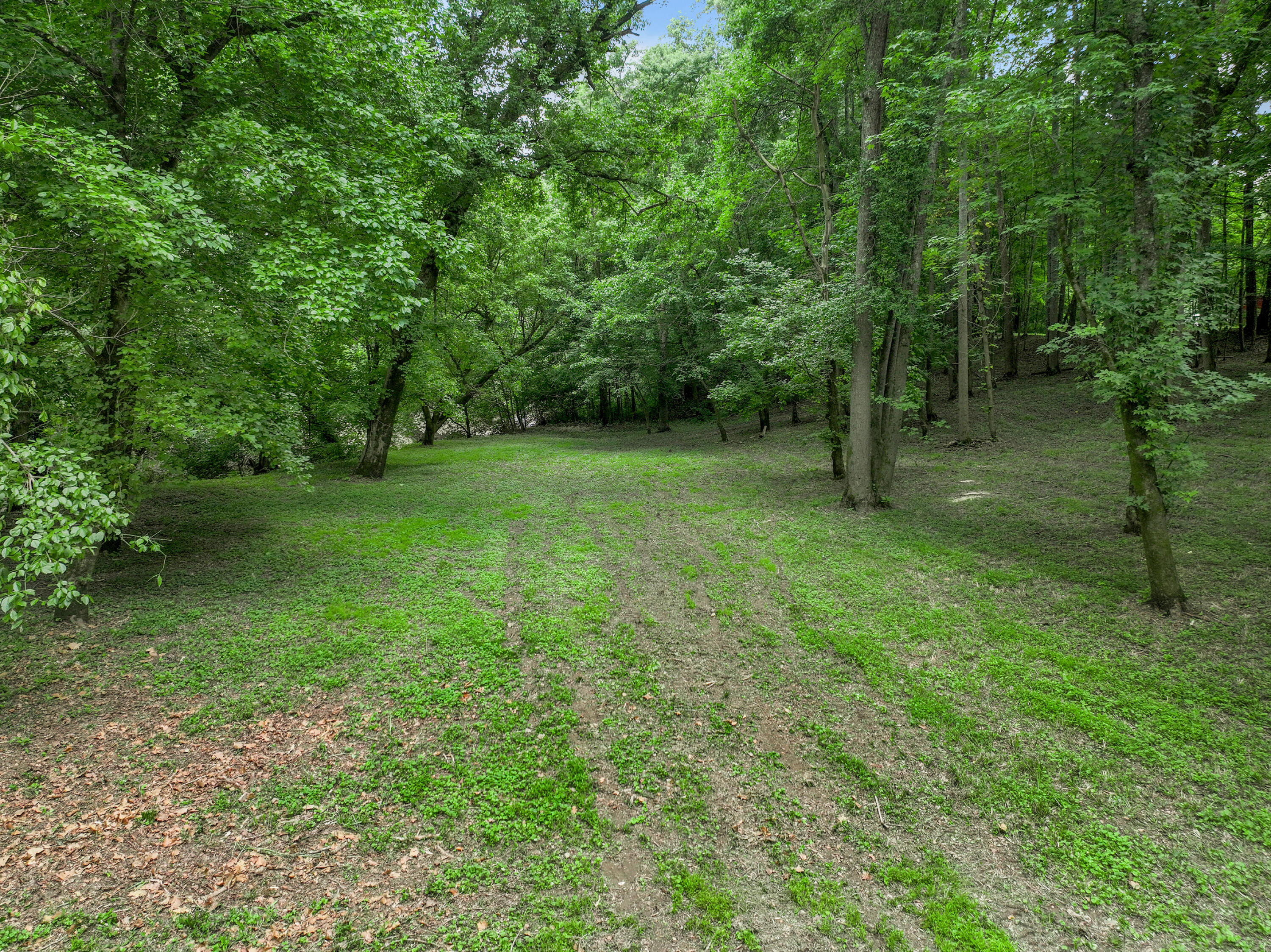 231 Fintville Road Versailles, KY 40383 - Photo 16 of 34 DJI_20260630070439_0609_D
