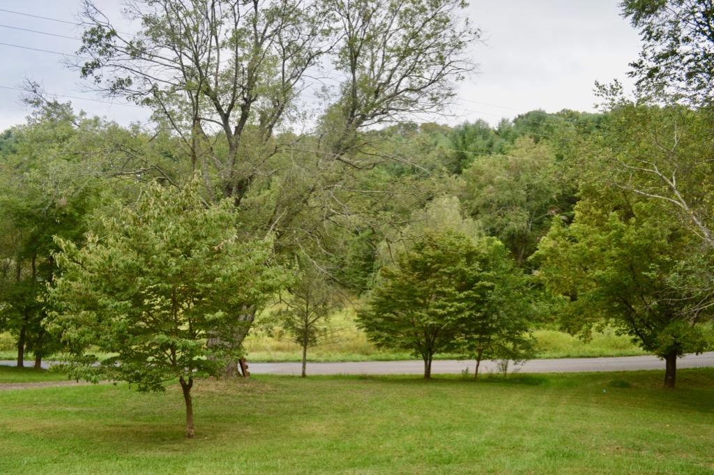 292 Moore Road Northeast Floyd, VA 24091 - Photo 50 of 65 a view of yard with green space and trees around