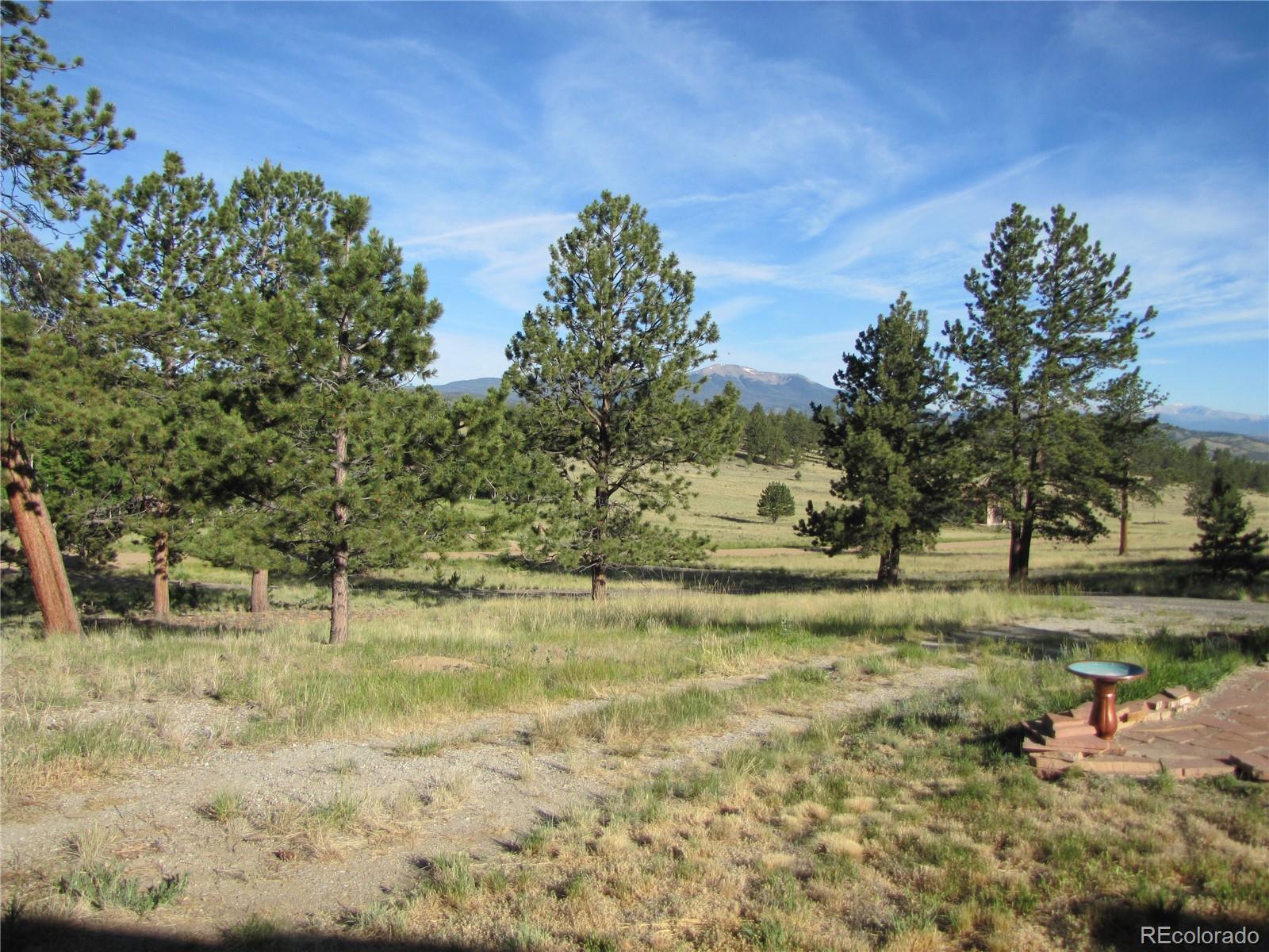 1714 Wagon Wheel Road Hartsel, CO 80449 - Photo 16 of 26 Gallery Image 16