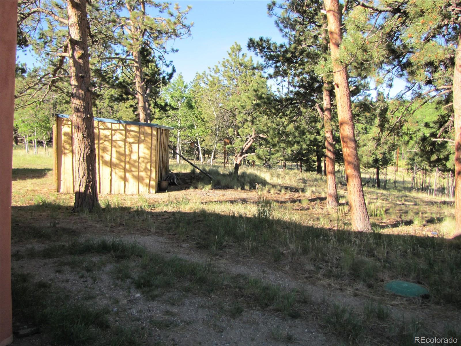 1714 Wagon Wheel Road Hartsel, CO 80449 - Photo 17 of 26 Gallery Image 17