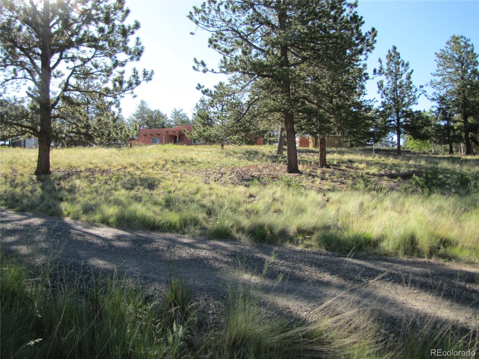 1714 Wagon Wheel Road Hartsel, CO 80449 - Photo 23 of 26 Gallery Image 23
