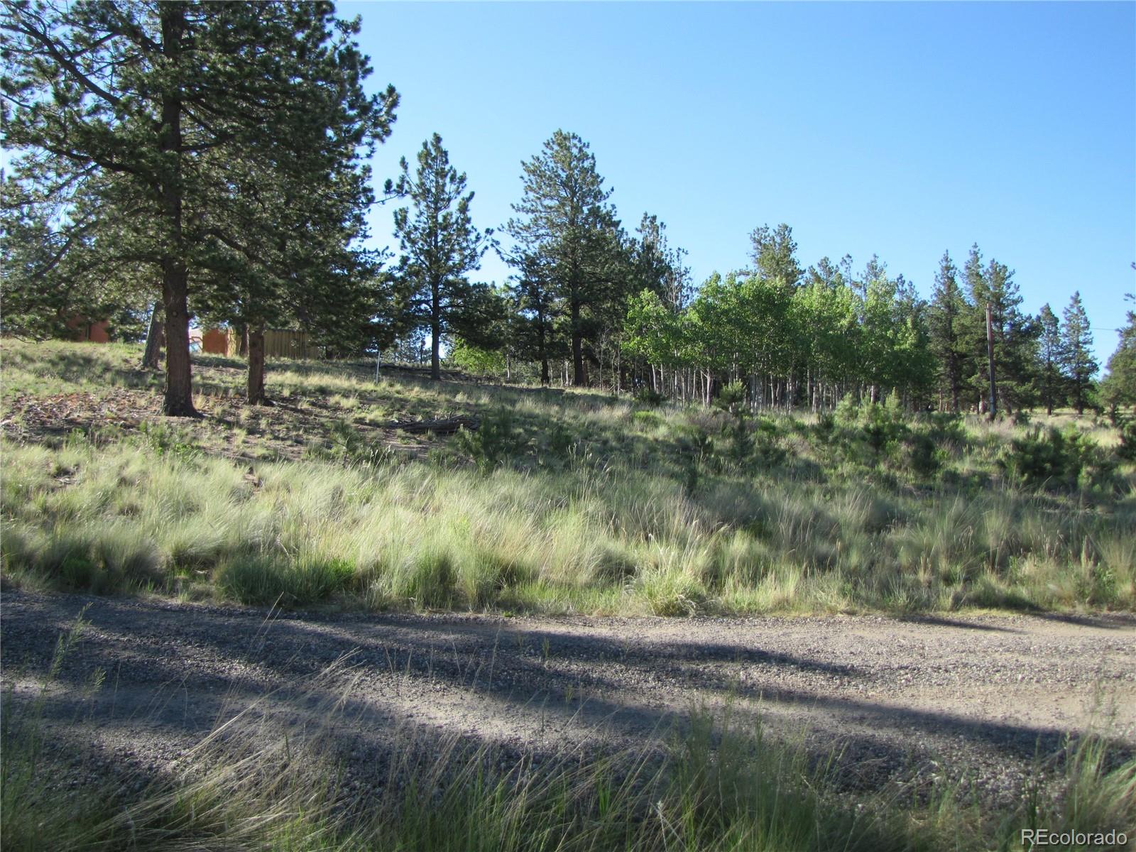 1714 Wagon Wheel Road Hartsel, CO 80449 - Photo 24 of 26 Gallery Image 24