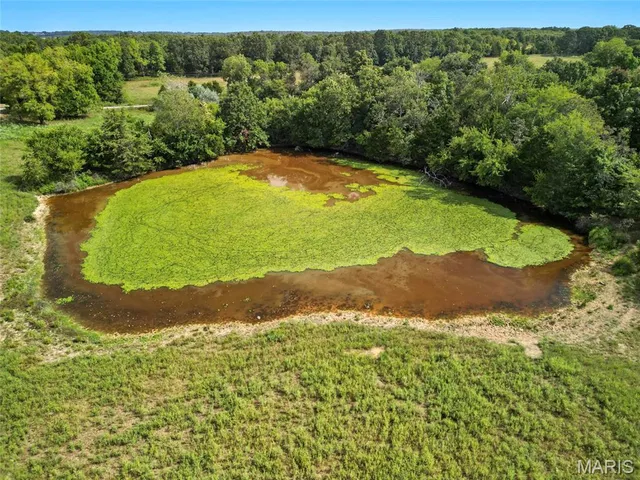 $199,900 | 0 Private Dr 6245, Licking, MO 65542