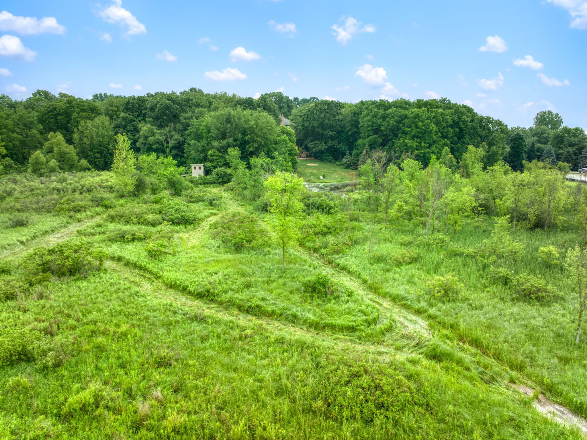 8009 Mester (stoney Ridge) Road Chelsea, MI 48118 - Photo 50 of 59 8009 Mester (Stoney Ridge) 48