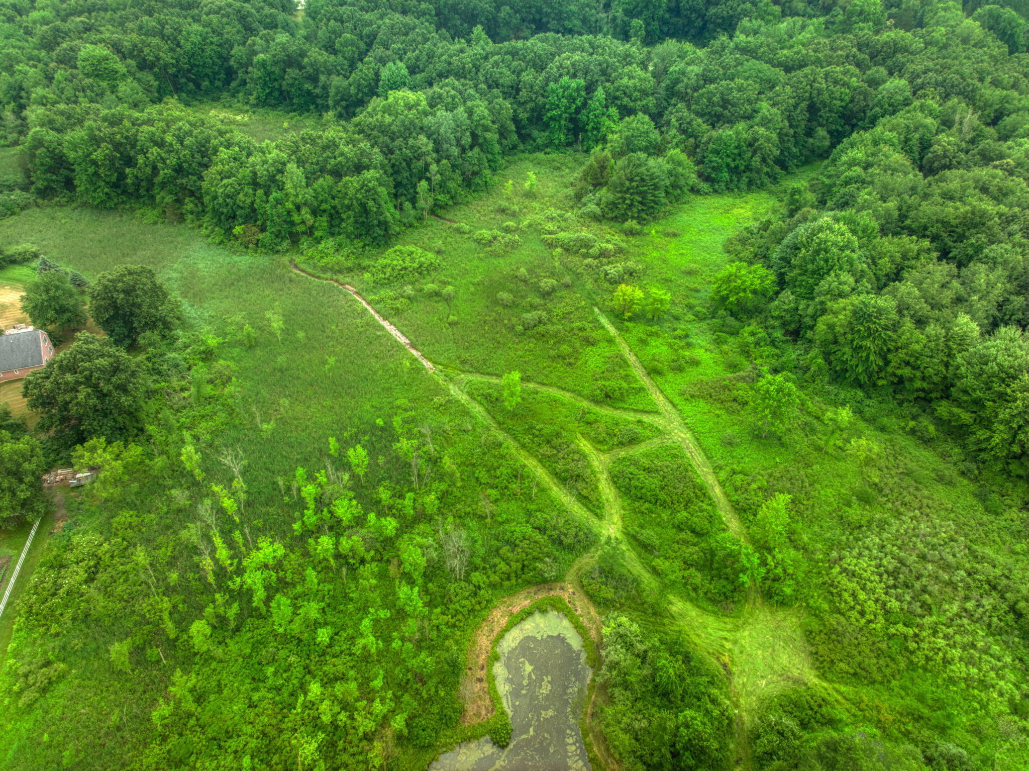 8009 Mester (stoney Ridge) Road Chelsea, MI 48118 - Photo 54 of 59 8009 Mester (Stoney Ridge) 52