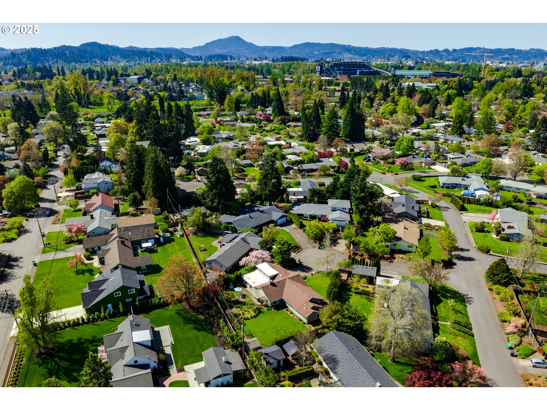 445 Hazel Court Eugene, OR 97401 - Photo 37 of 40 a view of a city
