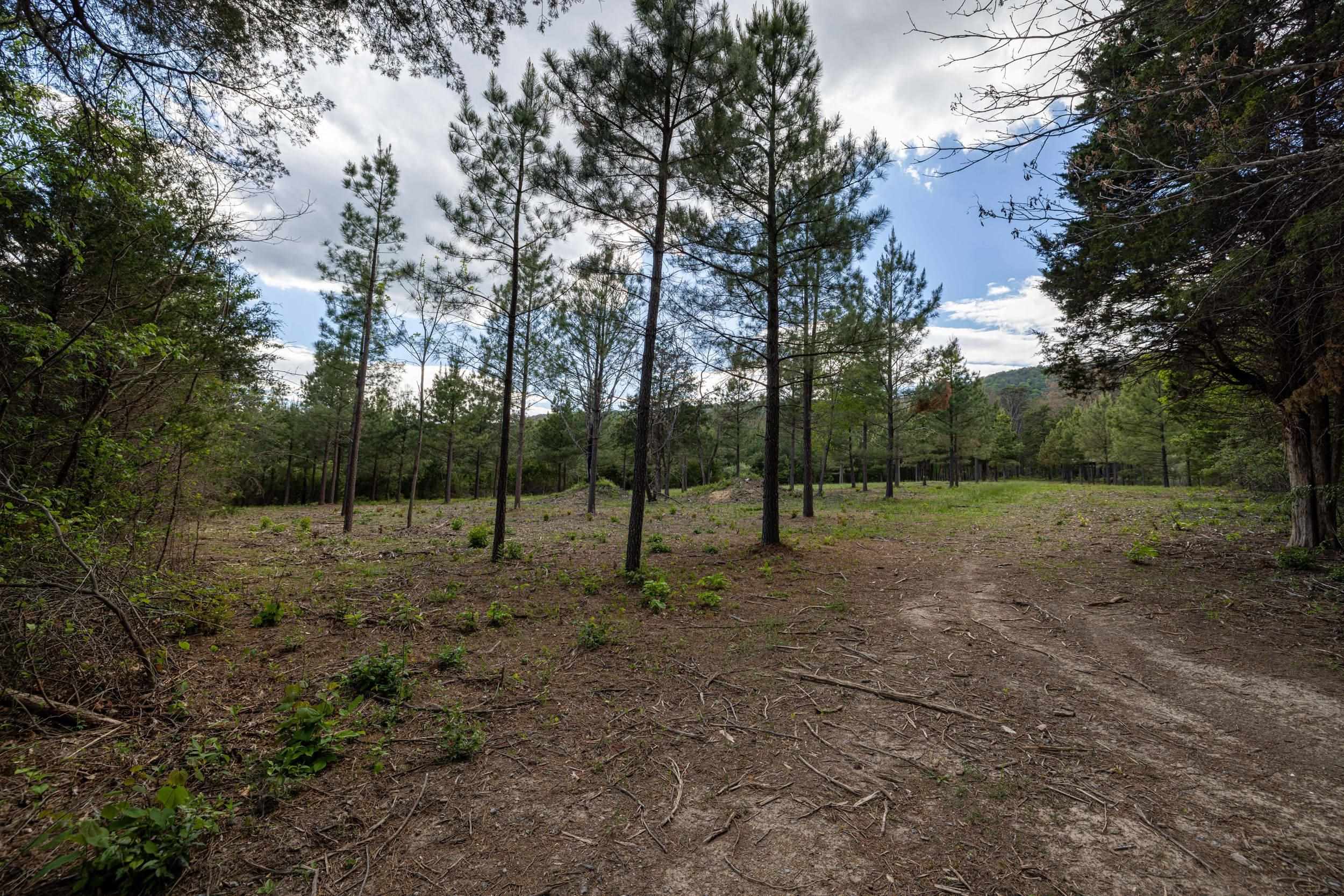0 Boliver Road Fort Valley, VA 22652 - Photo 32 of 55 Gallery Image 32