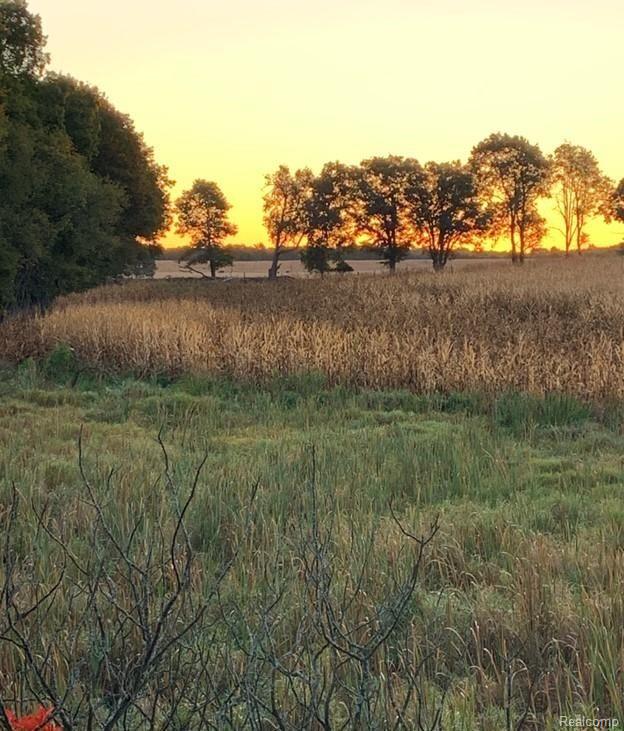 0 Washburn Road Grass Lake, MI 49240 - Photo 5 of 13 Gallery Image 5