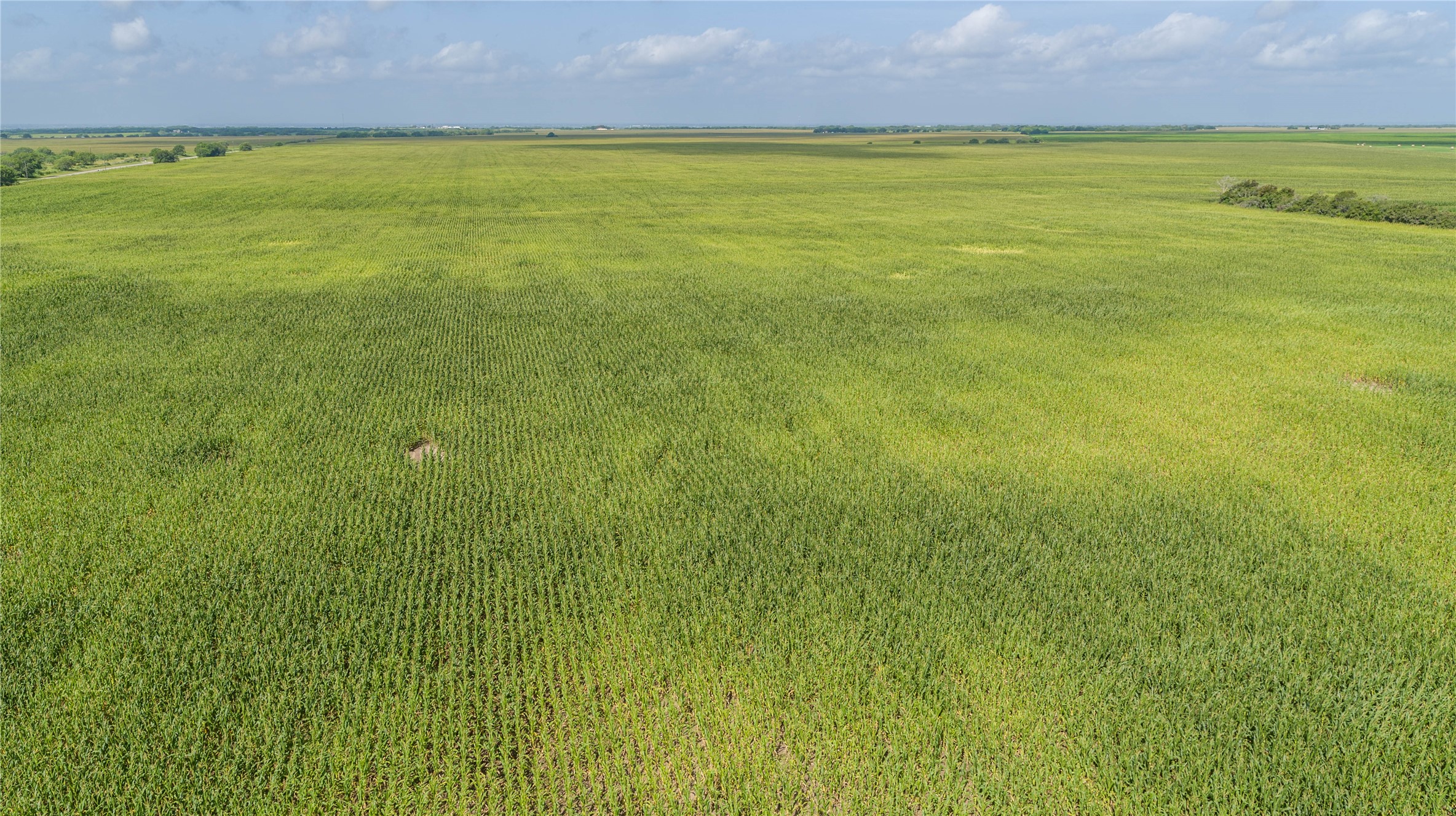 888 St Mathis Tx 78368 Mathis, TX 78368 - Photo 8 of 19
