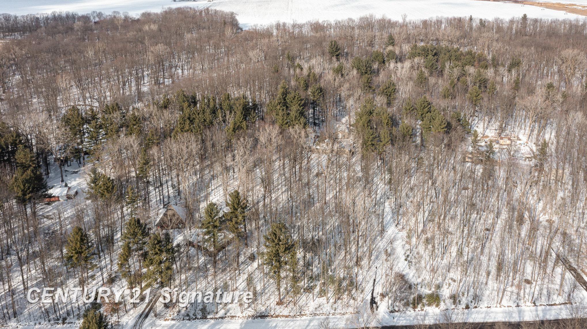 18880 Nelson Road St. Charles, MI 48655 - Photo 5 of 32