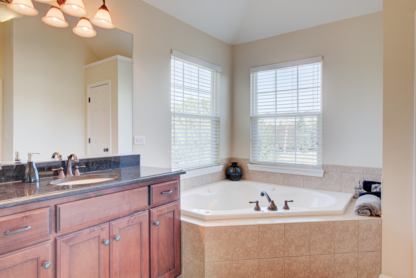 24520 Rockefeller Court Plainfield, IL 60544 - Photo 36 of 57 a bathroom with a tub a sink and a window
