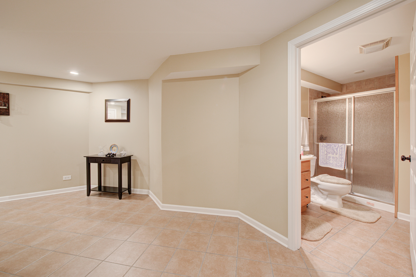 24520 Rockefeller Court Plainfield, IL 60544 - Photo 43 of 57