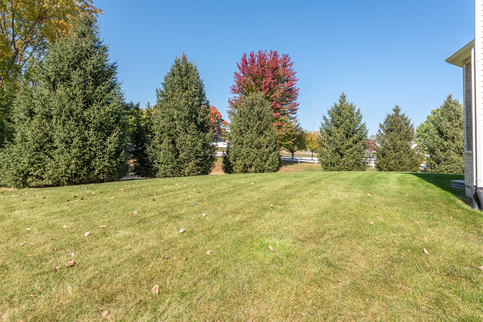 24520 Rockefeller Court Plainfield, IL 60544 - Photo 51 of 57 a view of yard with large trees