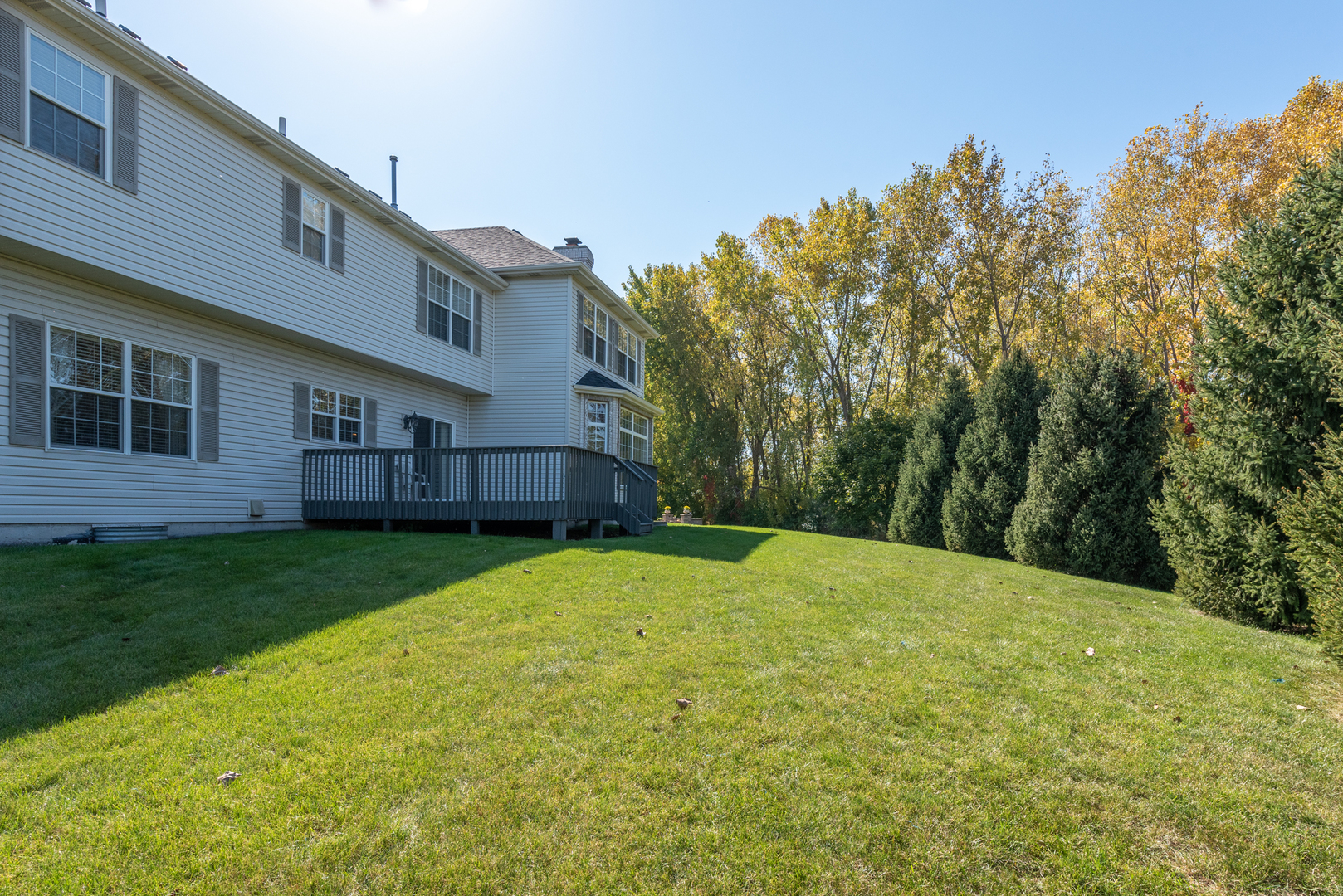24520 Rockefeller Court Plainfield, IL 60544 - Photo 52 of 57 a view of a backyard with plants and large trees