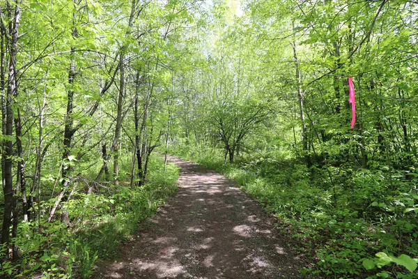 $47,900 | Lot 19 Eagle Run, Bayfield, WI 54814