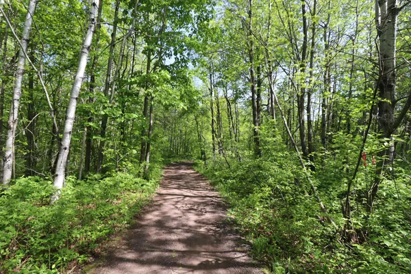 $47,900 | Lot 19 Eagle Run, Bayfield, WI 54814
