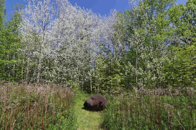 $49,900 | Lot 19 Eagle Run, Bayfield, WI 54814