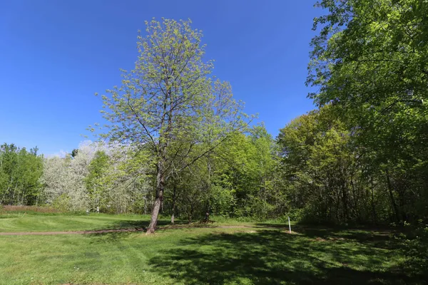 $47,900 | Lot 19 Eagle Run, Bayfield, WI 54814