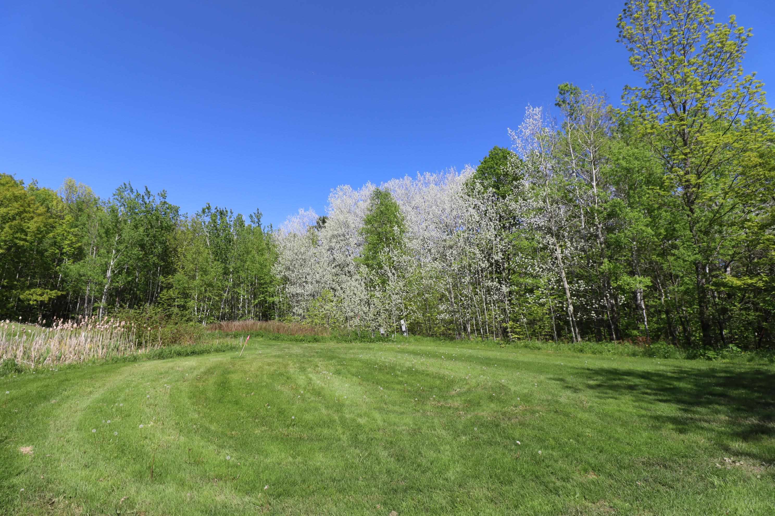 Lot 19 Eagle Run Bayfield, WI 54814 - Photo 10 of 26
