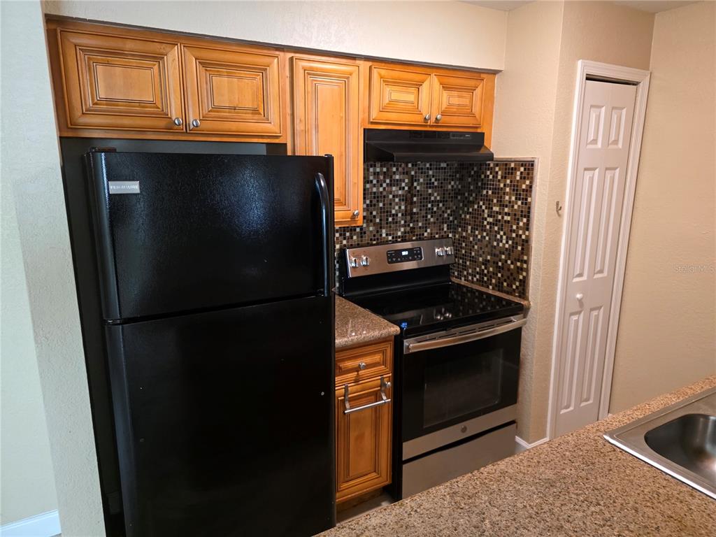 201 Red Maple Place Brandon, FL 33510 - Photo 9 of 21