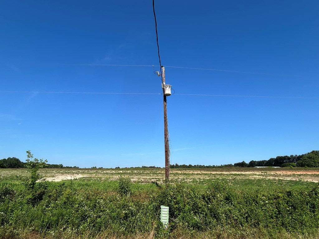 40.522-ac Cecil Varnum Road Dothan, AL 36301 - Photo 33 of 38