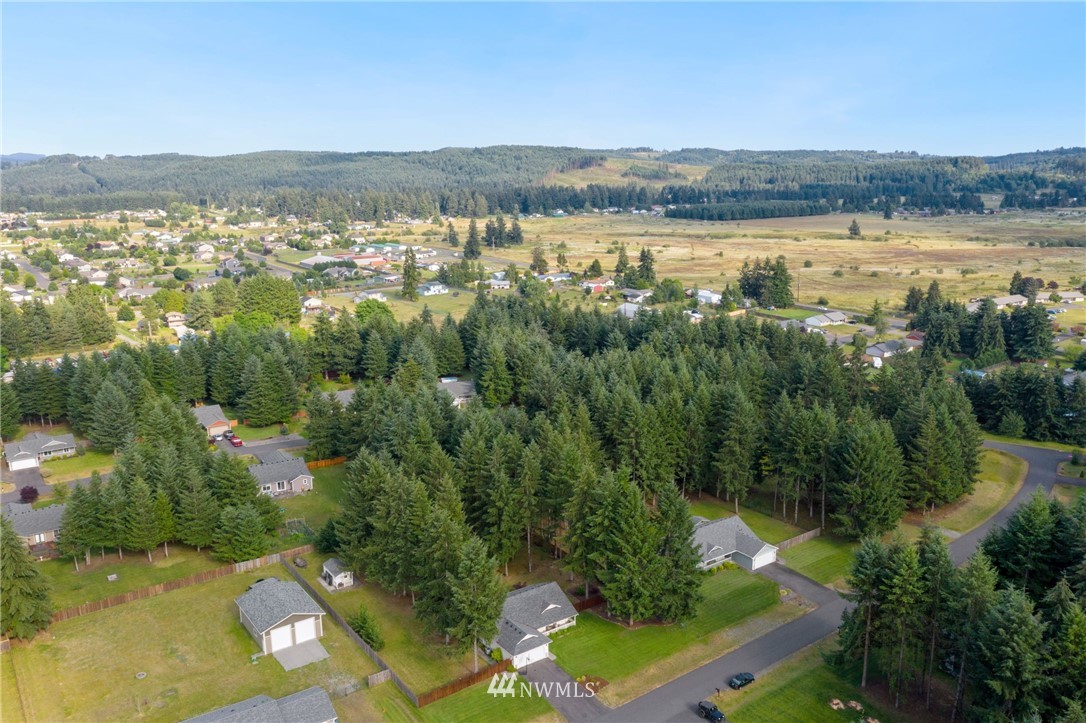 5129 180th Trail Southwest Rochester, WA 98579 - Photo 22 of 22 a view of lake and mountain
