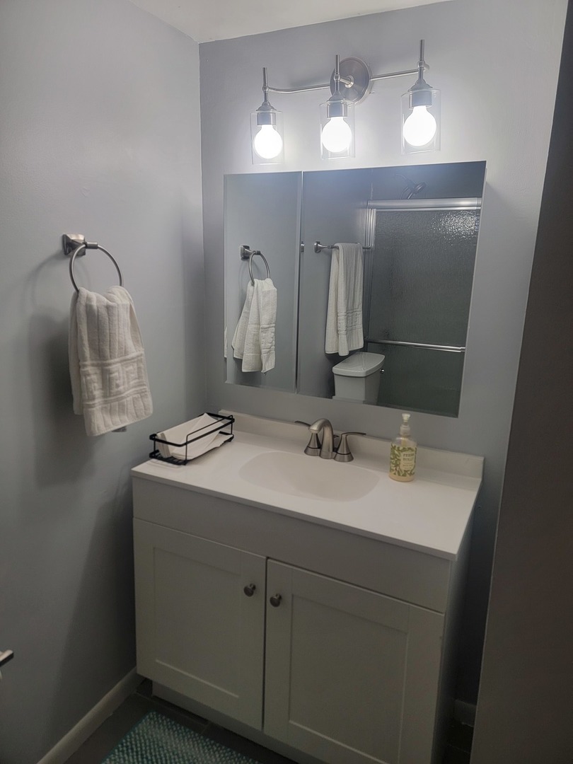 1321 South Finley Road, Unit 312 Lombard, IL 60148 - Photo 2 of 4 a bathroom with a sink and mirror