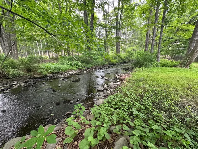 a backyard of a house with lots of green space