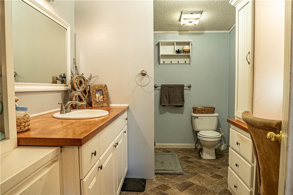 7328 Freeman Road Dawsonville, GA 30534 - Photo 8 of 11 a bathroom with a granite countertop sink toilet and mirror