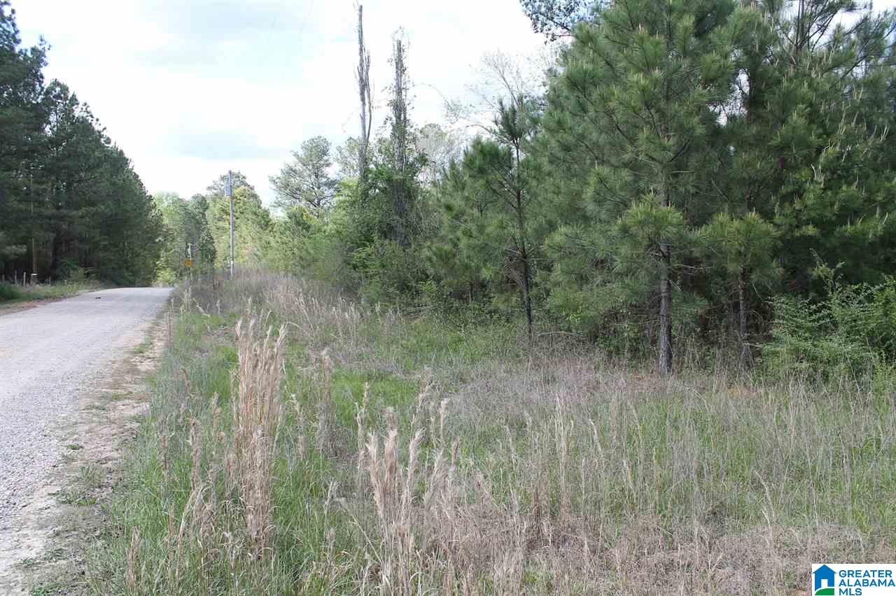 0 Highway 41 Addison Al, Unit 2 AC Addison, AL 35540 - Photo 2 of 5