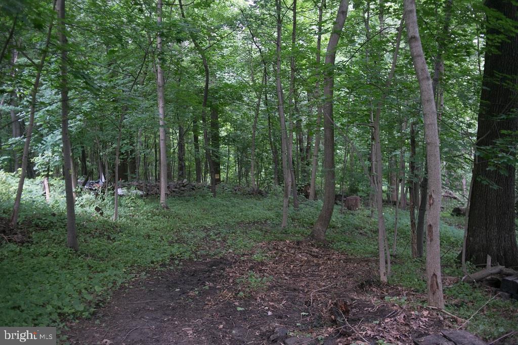3879 Spring Road Shermans Dale, PA 17090 - Photo 14 of 57 Gallery Image 14