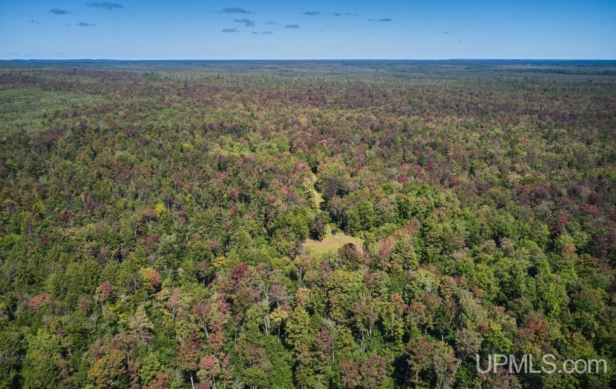 454 Creighton Trail Road Shingleton, MI 49884 - Photo 21 of 26