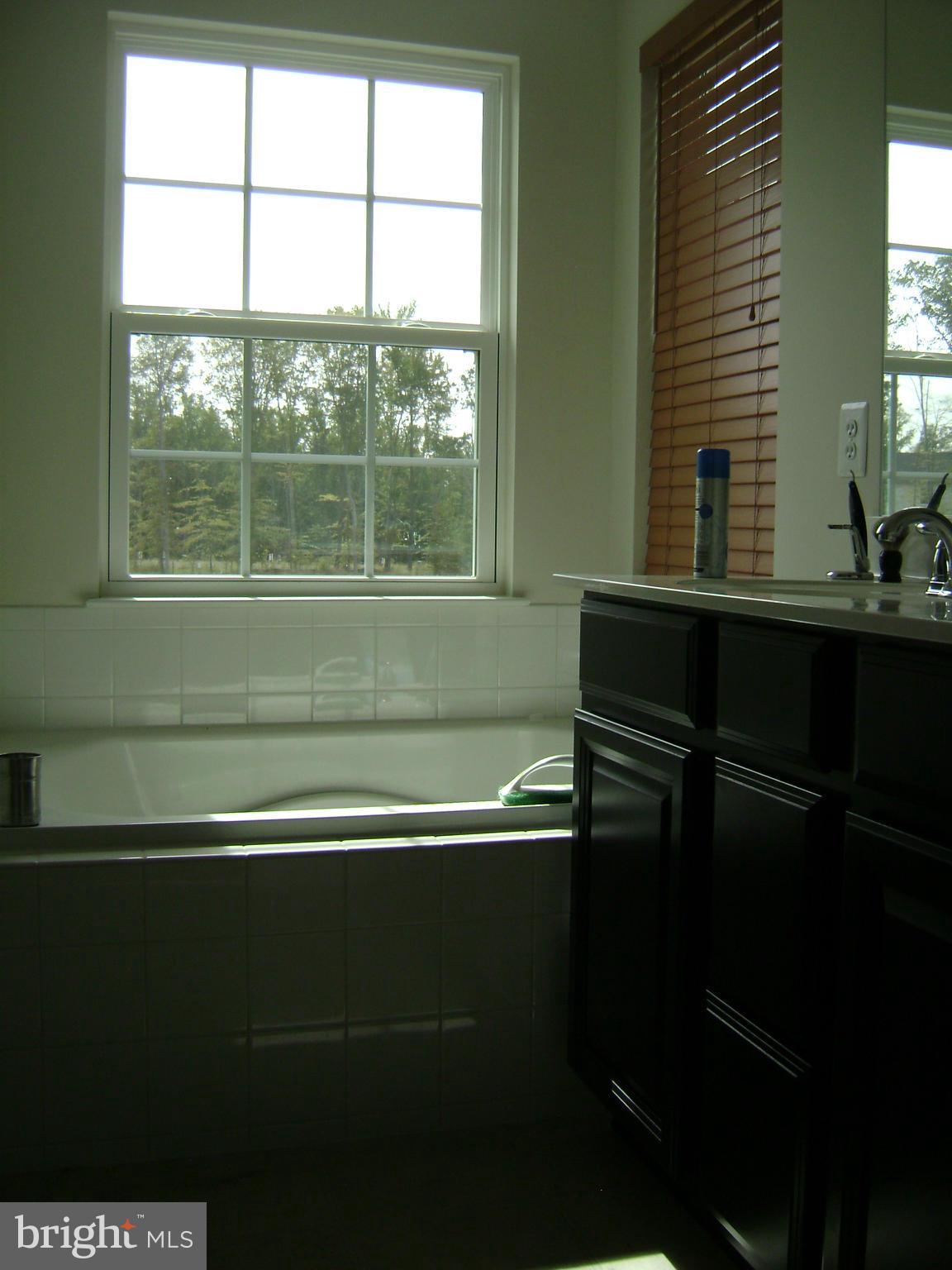 2911 St Marys View Road Accokeek, MD 20607 - Photo 17 of 22 Bath