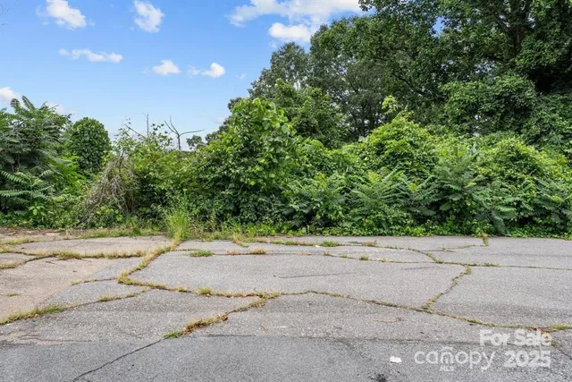 a view of a road with a trees