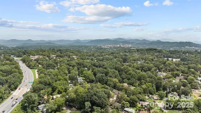 a view of a city with lush green forest