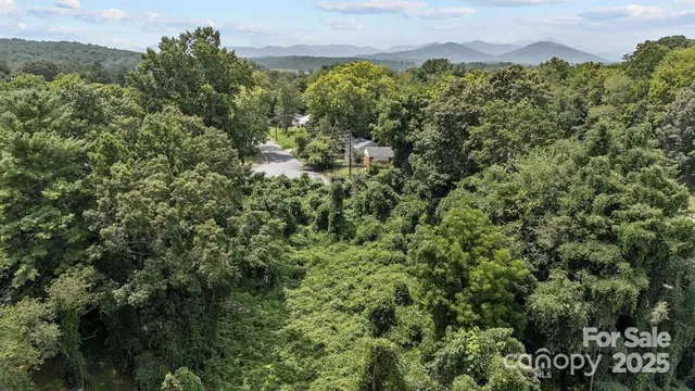 a view of a houses with a lush green forest