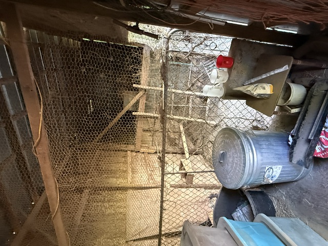 731 Glenn Ferry Road Fair Play, SC 29643 - Photo 23 of 23 Secure animal enclosure provides shelter and ample space for livestock.