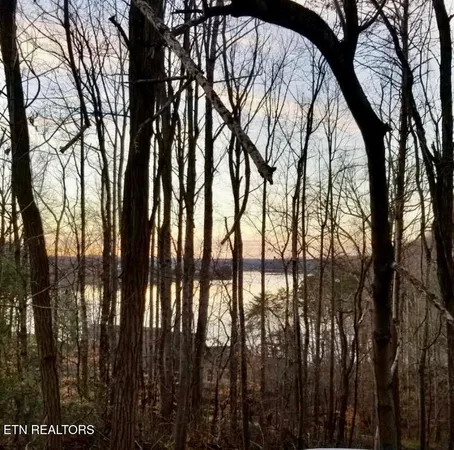 $115,000 | 196 East Cove Drive, Greenback, TN 37742