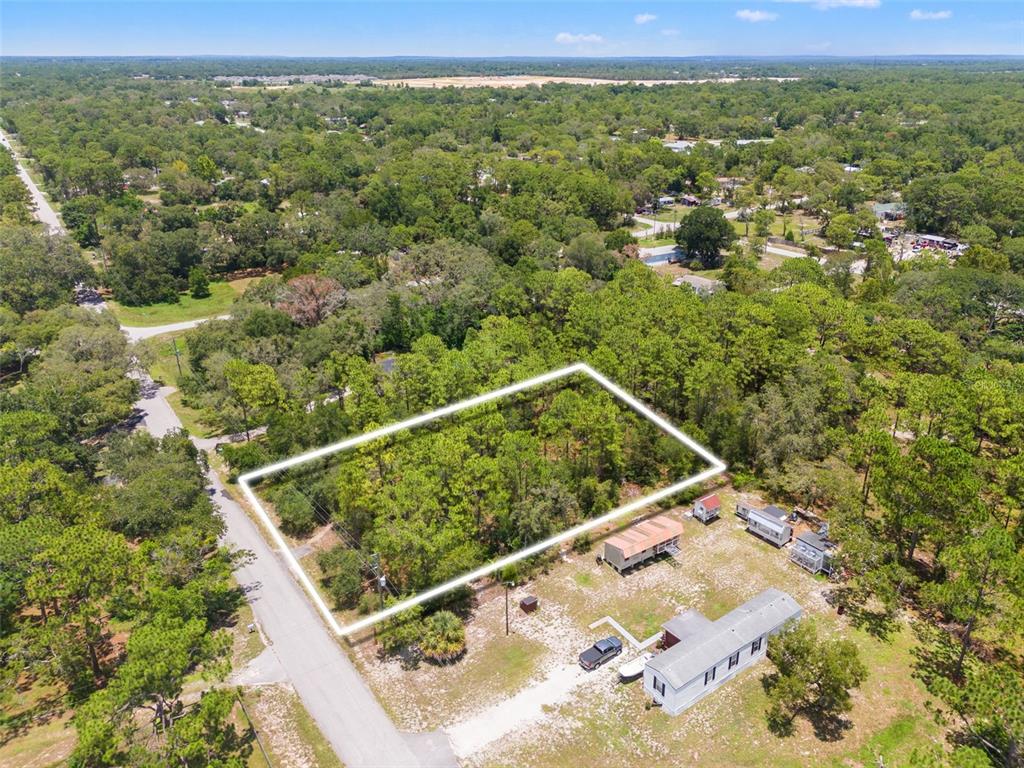 Greensboro St Spring Hill Spring Hill, FL 34610 - Photo 3 of 8 a view of a forest from a balcony