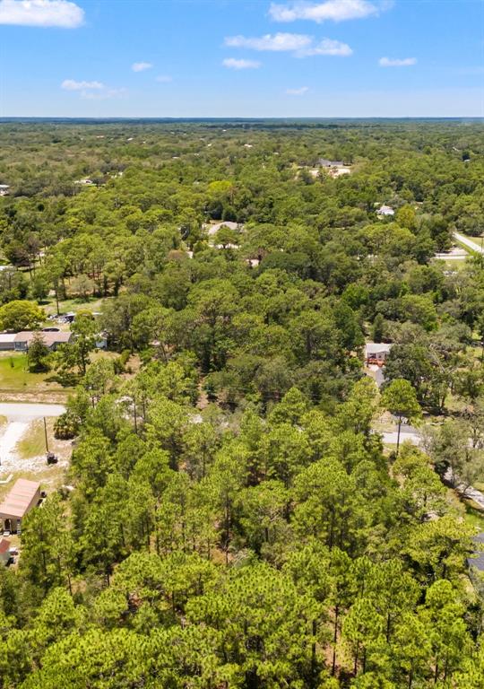 Greensboro St Spring Hill Spring Hill, FL 34610 - Photo 6 of 8 a view of an ocean and a yard