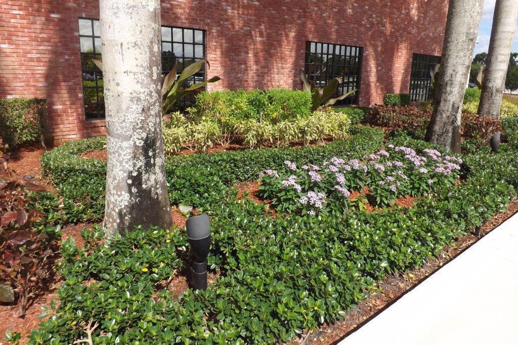 4014 Cornwall East, Unit 4014 Boca Raton, FL 33434 - Photo 51 of 67 a view of a garden with a flower