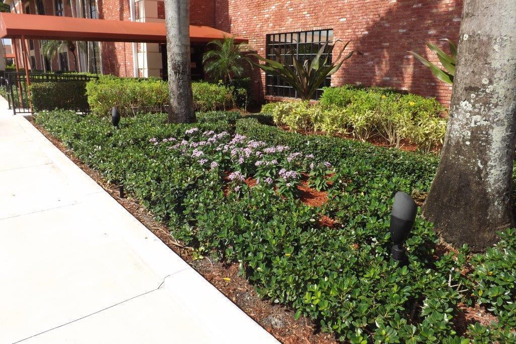 4014 Cornwall East, Unit 4014 Boca Raton, FL 33434 - Photo 52 of 67 a view of a backyard with plants