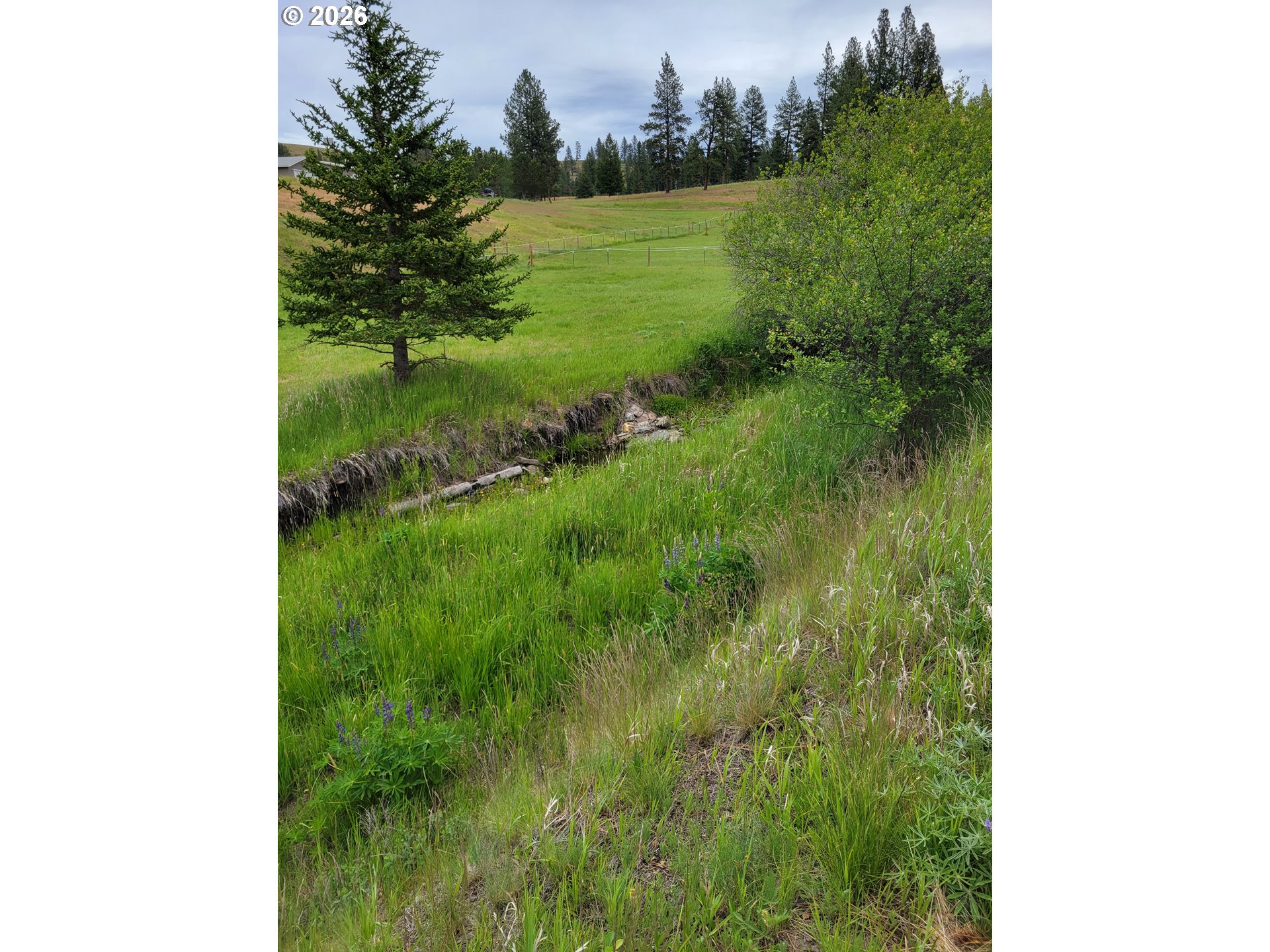 0 Coombs Loop La Grande, OR 97850 - Photo 13 of 14 Creek