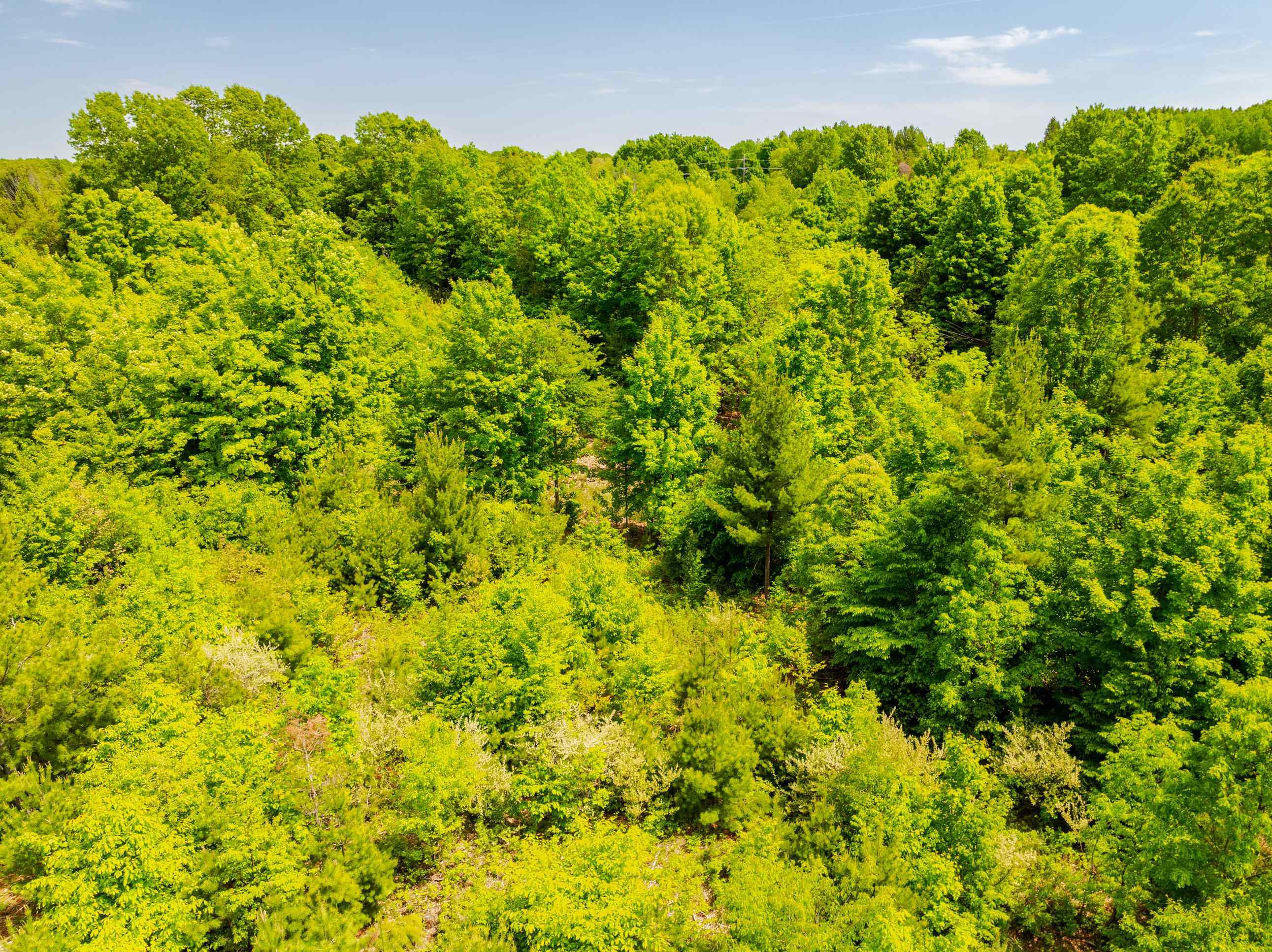 Tbd Traverse Road Thompsonville, MI 49683 - Photo 14 of 40